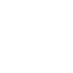 Logo Summit