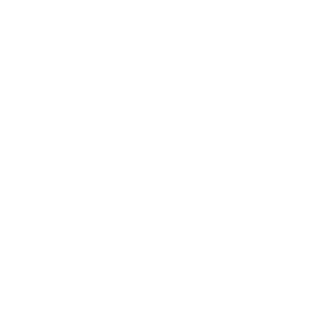 Logo Summit